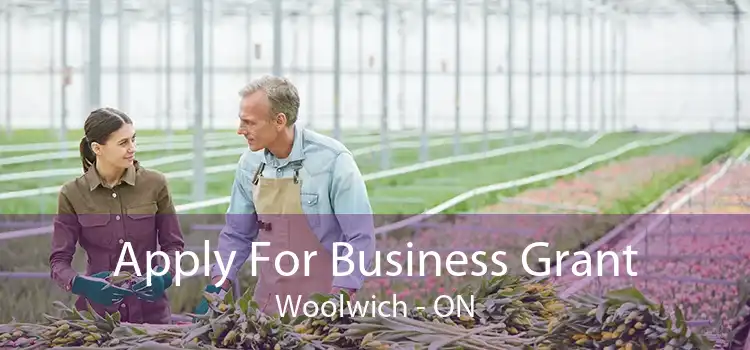 Apply For Business Grant Woolwich - ON